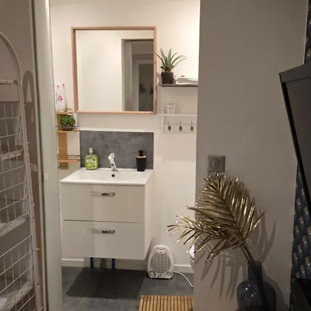 Nid Cosy Et Sauna Privé&proche Centre Strasbourg&kehl *