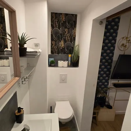 L'echappee Zen Sauna Privatif Et Shopping, Tram A Cote Apartament Strasburg