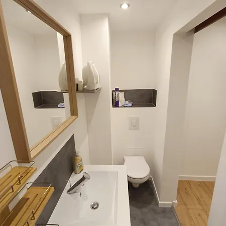 Appartement Nid Cosy Et Sauna Privé&proche Centre Strasbourg&kehl