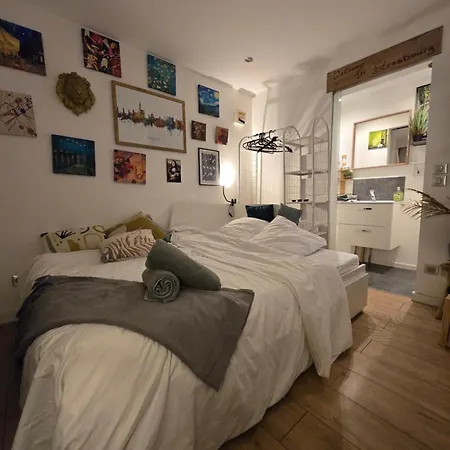 Appartement Nid Cosy Et Sauna Privé&proche Centre Strasbourg&kehl