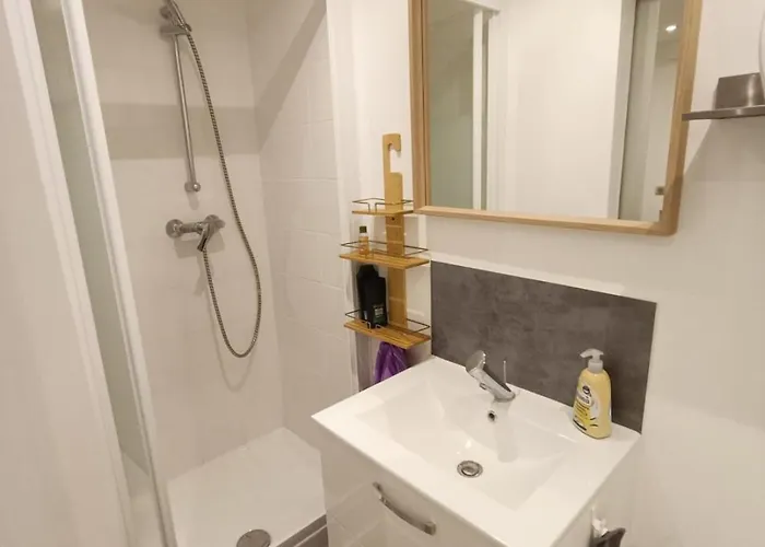 Daire L'echappee Zen Sauna Privatif Et Shopping, Tram A Cote