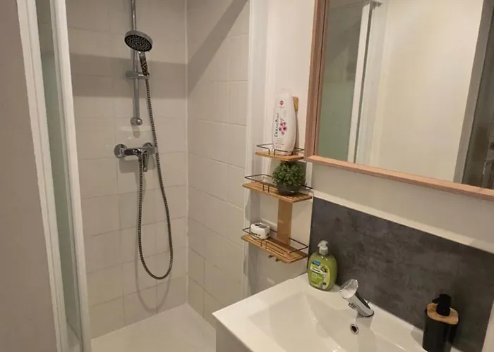 Daire L'echappee Zen Sauna Privatif Et Shopping, Tram A Cote *