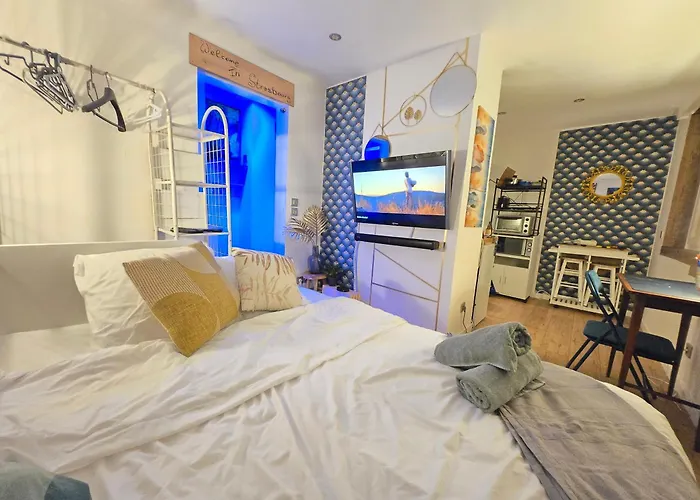 L'echappee Zen Sauna Privatif Et Shopping, Tram A Cote Daire *