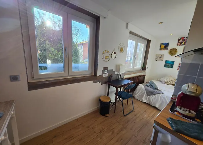 Daire L'echappee Zen Sauna Privatif Et Shopping, Tram A Cote *