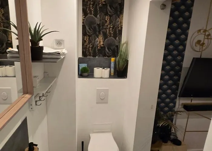 Nid Cosy Et Sauna Privé&proche Centre Strasbourg&kehl Apartamento Estrasburgo