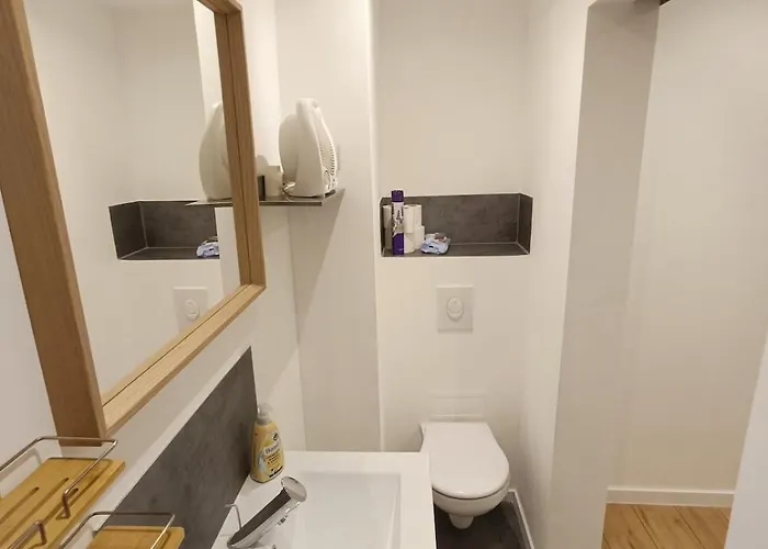 Apartamento Nid Cosy Et Sauna Privé&proche Centre Strasbourg&kehl