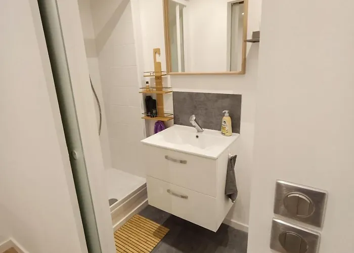 Nid Cosy Et Sauna Privé&proche Centre Strasbourg&kehl Apartamento *